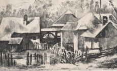 Vacek – proză de Marian Ilea (XXIII)