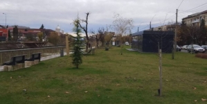 Prognoza meteo Maramureș  – 23 decembrie 2025