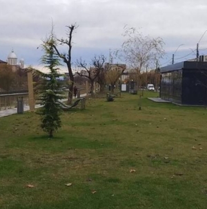 Prognoza meteo Maramureș  – 23 decembrie 2025