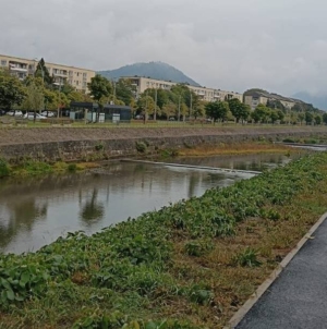 Exproprieri pe malul stâng al Râului Săsar la Baia Mare