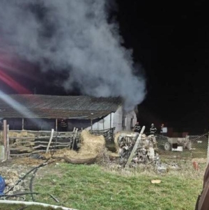 ALERTĂ în Satu Mare și Maramureș: bărbat căutat după ce și-a incendiat concubina