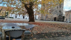 Prognoza meteo Maramureș – 10 decembreie 2025