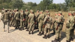 Senatul a aprobat legea stagiului militar voluntar