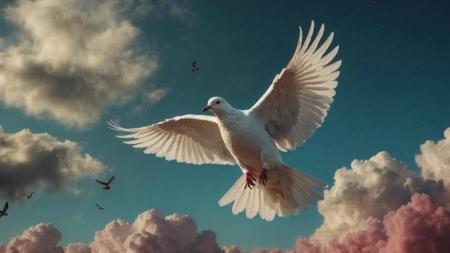 1 ianuarie – Ziua Mondială a Păcii: un început de an cu gânduri bune