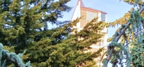 Prognoza meteo Maramureș – 11 decembrie 2025