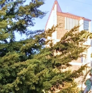 Prognoza meteo Maramureș – 11 decembrie 2025