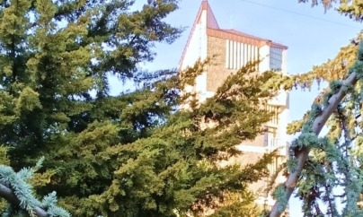 Prognoza meteo Maramureș – 11 decembrie 2025