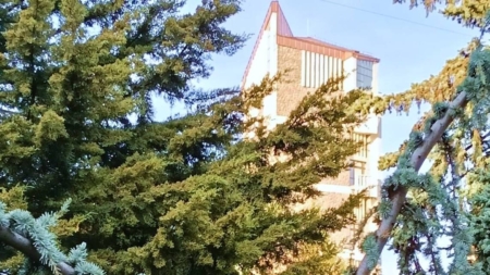 Prognoza meteo Maramureș – 11 decembrie 2025