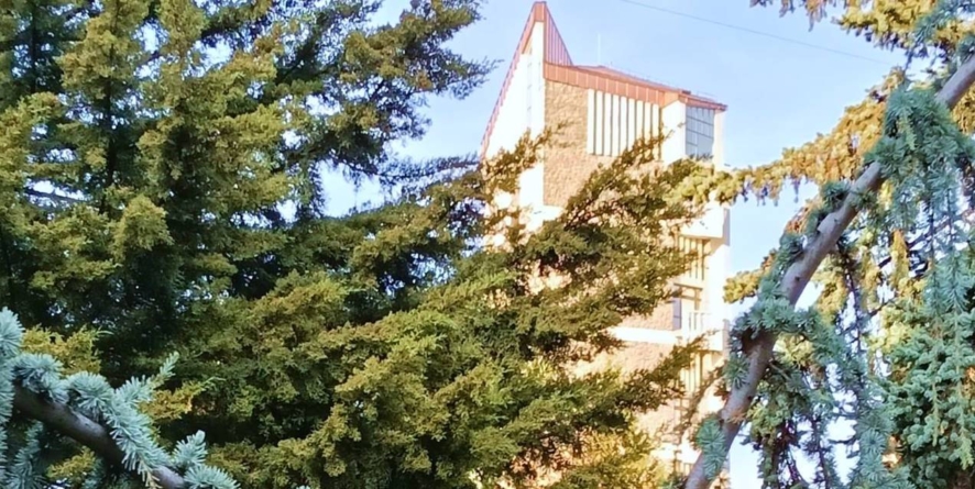 Prognoza meteo Maramureș – 11 decembrie 2025