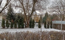 Prognoza meteo Maramureș – 30 decembrie 2025