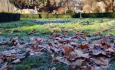 Prognoza meteo Maramureș – 22 decembrie 2025