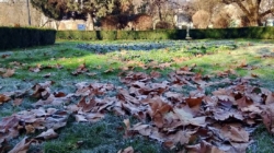 Prognoza meteo Maramureș – 22 decembrie 2025