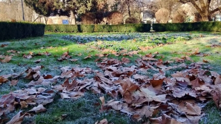 Prognoza meteo Maramureș – 22 decembrie 2025