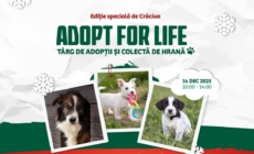Târg de adopții și colectă de hrană în Baia Mare