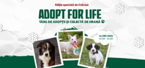 Târg de adopții și colectă de hrană în Baia Mare