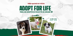 Târg de adopții și colectă de hrană în Baia Mare