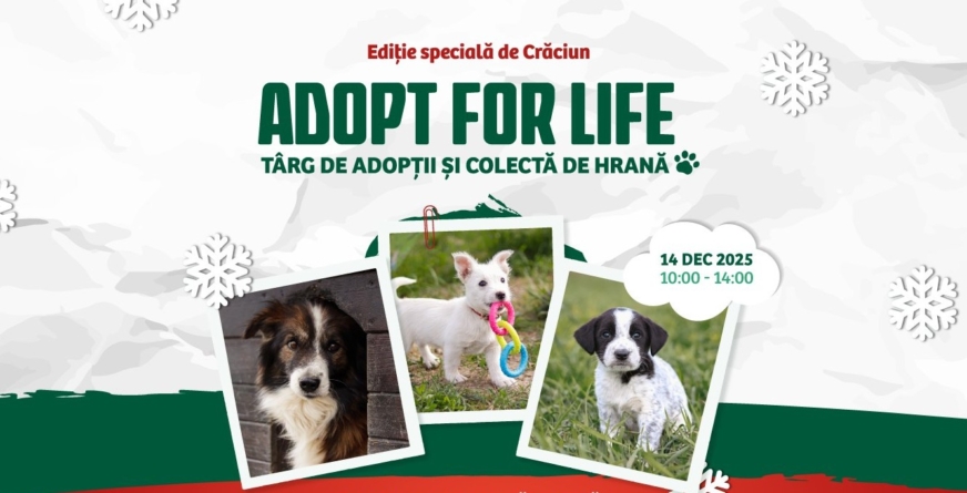 Târg de adopții și colectă de hrană în Baia Mare