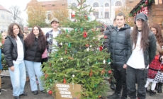 Inovație și sustenabilitate: elevii de la Colegiul Tehnic „George Barițiu” au realizat ornamente pentru brad, folosind tehnologia modernă