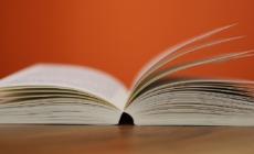 Nemira, experiment AI: Cum i-ar putea afecta pe elevi noua programă pentru limba și literatura română pentru clasa a IX-a