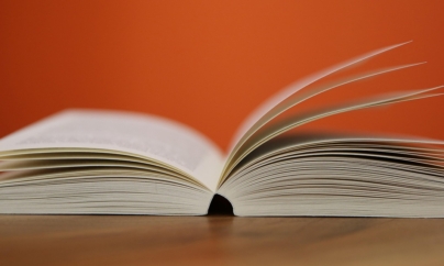 Nemira, experiment AI: Cum i-ar putea afecta pe elevi noua programă pentru limba și literatura română pentru clasa a IX-a