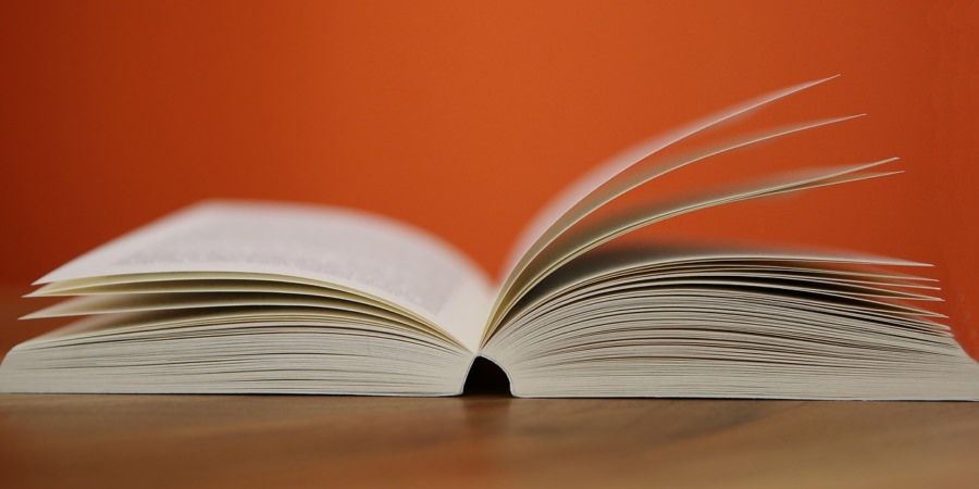 Nemira, experiment AI: Cum i-ar putea afecta pe elevi noua programă pentru limba și literatura română pentru clasa a IX-a