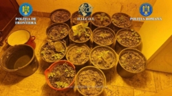 Percheziții pentru trafic de droguri. Trei persoane au fost reținute