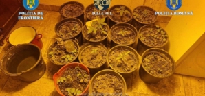 Percheziții pentru trafic de droguri. Trei persoane au fost reținute