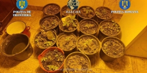 Percheziții pentru trafic de droguri. Trei persoane au fost reținute