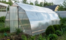 Sera de acasă – cum îți aduce legume sănătoase pe masă tot anul?