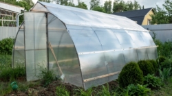  Sera de acasă – cum îți aduce legume sănătoase pe masă tot anul?