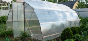  Sera de acasă – cum îți aduce legume sănătoase pe masă tot anul?