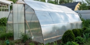  Sera de acasă – cum îți aduce legume sănătoase pe masă tot anul?