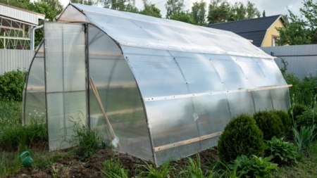  Sera de acasă – cum îți aduce legume sănătoase pe masă tot anul?