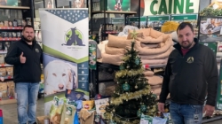 „Sub bradul faptelor bune”: campanie de donații de hrană pentru animale, finalizată cu succes