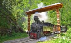 Cum va funcționa Mocănița în următoarea săptămână?