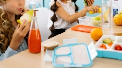 Continuă implementarea Programului Național „Masa sănătoasă” în școlile din România