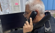 149 de sesizări într-o săptămână la Poliția Locală Baia Mare