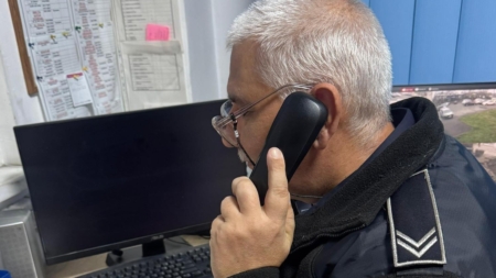 149 de sesizări într-o săptămână la Poliția Locală Baia Mare