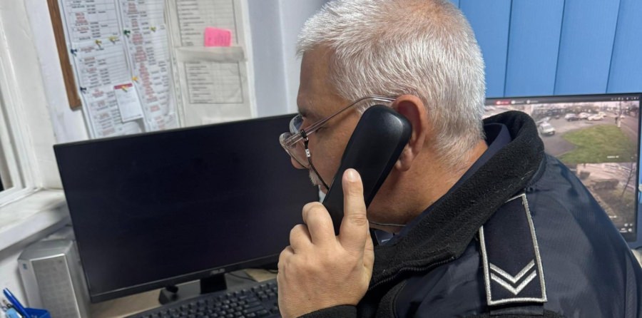 149 de sesizări într-o săptămână la Poliția Locală Baia Mare
