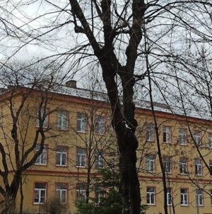 Contracte de finanțare semnate pentru reabilitarea a încă trei unități de învățământ din Baia Mare