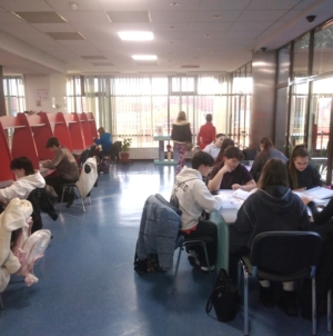 Reamenajarea spațiului de studiu al Bibliotecii Județene „Petre Dulfu” Baia Mare