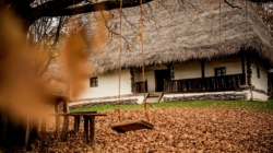 Puteți achiziționa abonamente de vizitare pentru anul 2026 la Muzeul Satului din Baia Mare