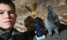 La doar 14 ani, Iustin Todoran din Vișeu de Sus se mândrește cu titluri de campion în domeniul creșterii animalelor de rasă