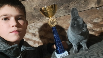 La doar 14 ani, Iustin Todoran din Vișeu de Sus se mândrește cu titluri de campion în domeniul creșterii animalelor de rasă
