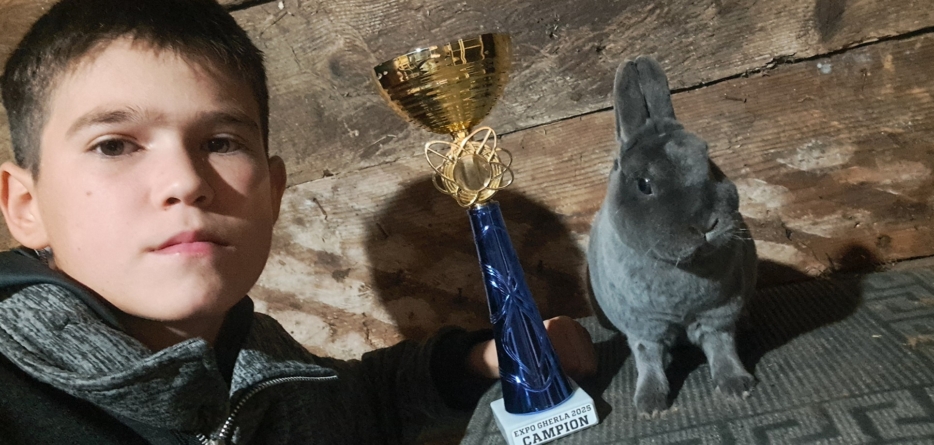 La doar 14 ani, Iustin Todoran din Vișeu de Sus se mândrește cu titluri de campion în domeniul creșterii animalelor de rasă