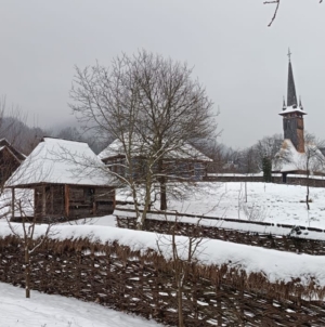 Acces gratuit la Muzeului Satului Baia Mare de Ziua Culturii Naționale