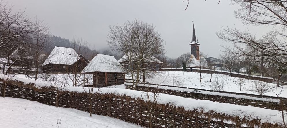 Acces gratuit la Muzeului Satului Baia Mare de Ziua Culturii Naționale