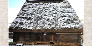 Povestea Șurii Lăpuș din cadrul Muzeului Satului Baia Mare: un simbol al gospodăriei tradiționale