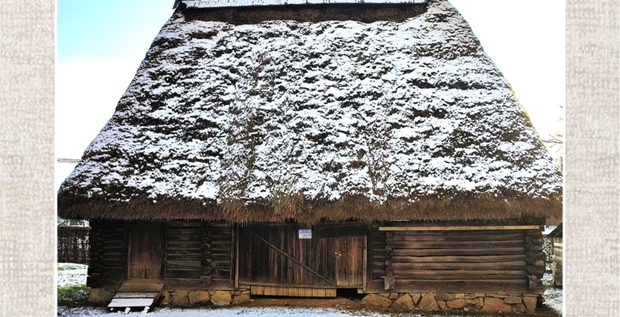 Povestea Șurii Lăpuș din cadrul Muzeului Satului Baia Mare: un simbol al gospodăriei tradiționale