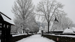 De Ziua Culturii Naționale: Câteva versuri din Eminescu îți asigură acces gratuit la Muzeul Maramureșan din Sighetu Marmației